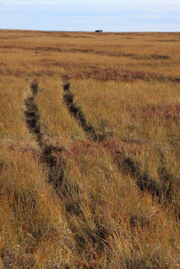 cracked tundra landscape in the far north